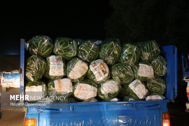 بارگیری خیار هشتبندی و ارسال به سراسر کشور