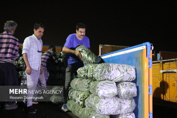 بارگیری خیار هشتبندی و ارسال به سراسر کشور