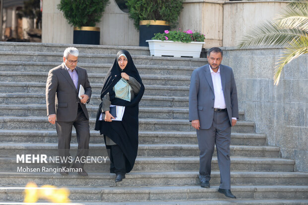 حاشیه جلسه هیئت دولت