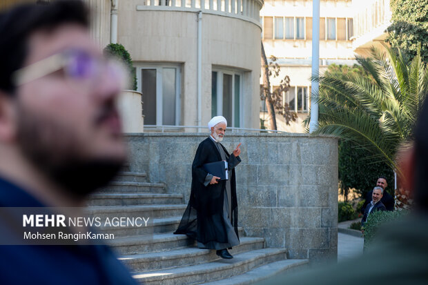 حاشیه جلسه هیئت دولت