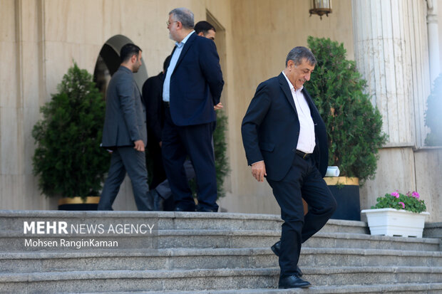 حاشیه جلسه هیئت دولت