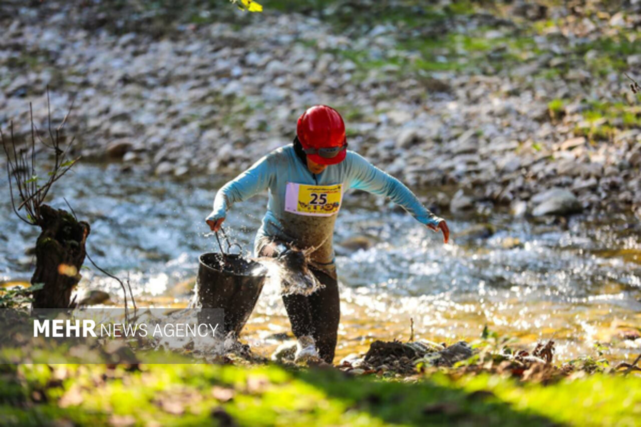 –،بزرگسالان،مازندران،تهران،شاهرود،اقليمي،سمنان