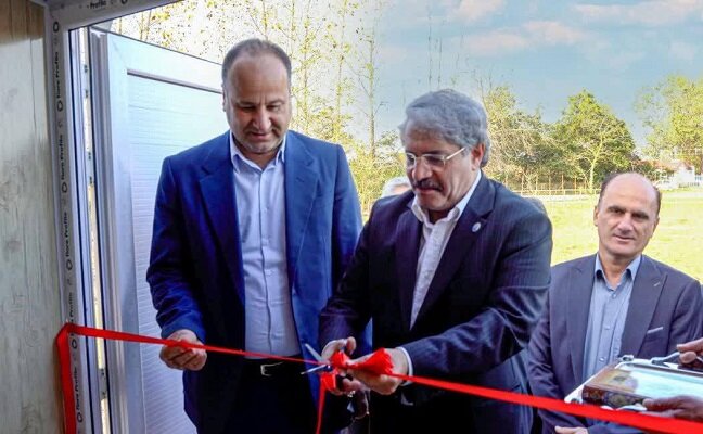 لاهیجان زاده: دلایل مرگ و میر فوک خزری به بررسی های بیشتری نیاز دارد لاهیجان زاده: دلایل مرگ و میر فوک خزری به بررسی های بیشتری نیاز دارد