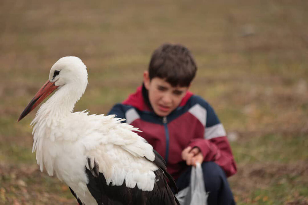 مستندی درباره آزادی و لک‌لک‌ها؛ بازگشت سرمایه پیچیده است!