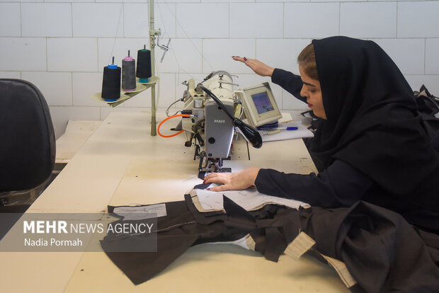 سفر یک روزه وزیر کار