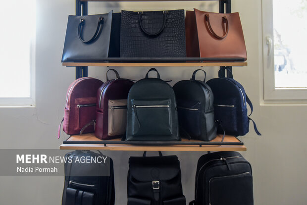 سفر یک روزه وزیر کار