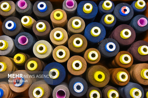 سفر یک روزه وزیر کار