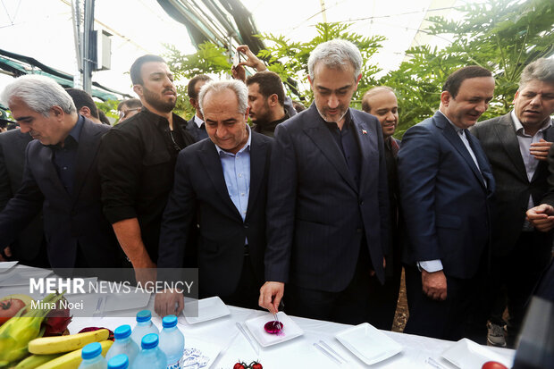 سفر وزیر اقتصاد و دارایی به ارس