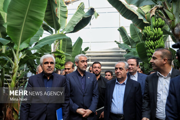 سفر وزیر اقتصاد و دارایی به ارس