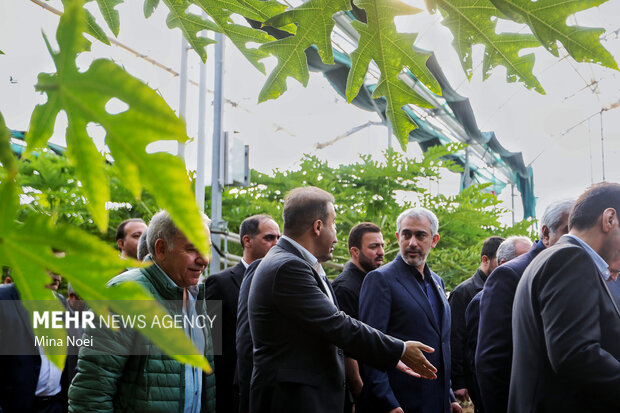 سفر وزیر اقتصاد و دارایی به ارس