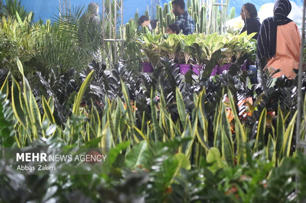 نمایشگاه گل و گیاه بندرعباس