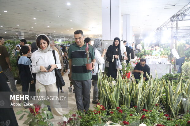نمایشگاه گل و گیاه بندرعباس