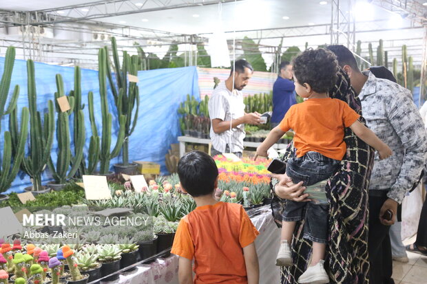 نمایشگاه گل و گیاه بندرعباس