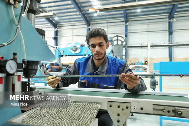 سفر وزیر اقتصاد و دارایی به ارس