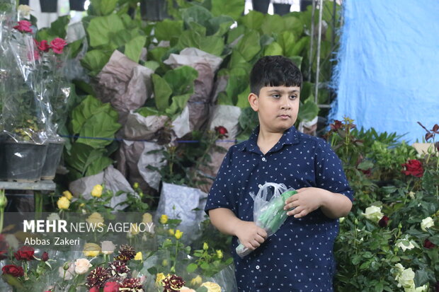 نمایشگاه گل و گیاه بندرعباس