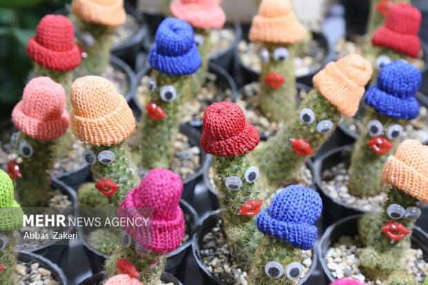 نمایشگاه گل و گیاه بندرعباس