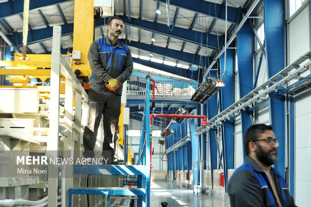 سفر وزیر اقتصاد و دارایی به ارس