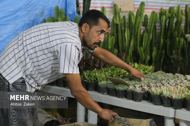 نمایشگاه گل و گیاه بندرعباس