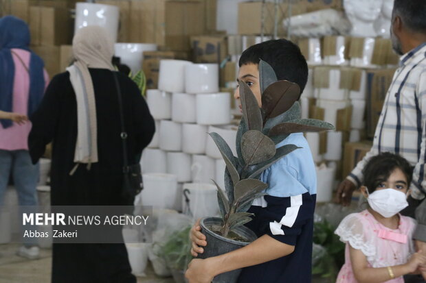 نمایشگاه گل و گیاه بندرعباس