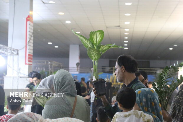 نمایشگاه گل و گیاه بندرعباس