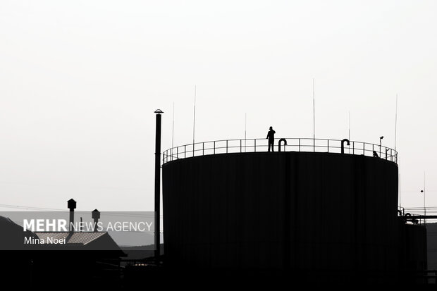 سفر وزیر اقتصاد و دارایی به ارس