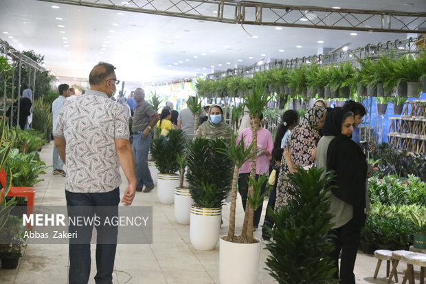 نمایشگاه گل و گیاه بندرعباس