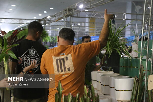 نمایشگاه گل و گیاه بندرعباس