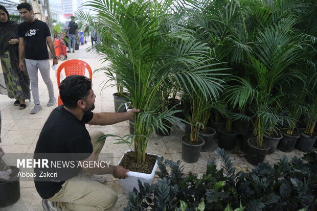 نمایشگاه گل و گیاه بندرعباس