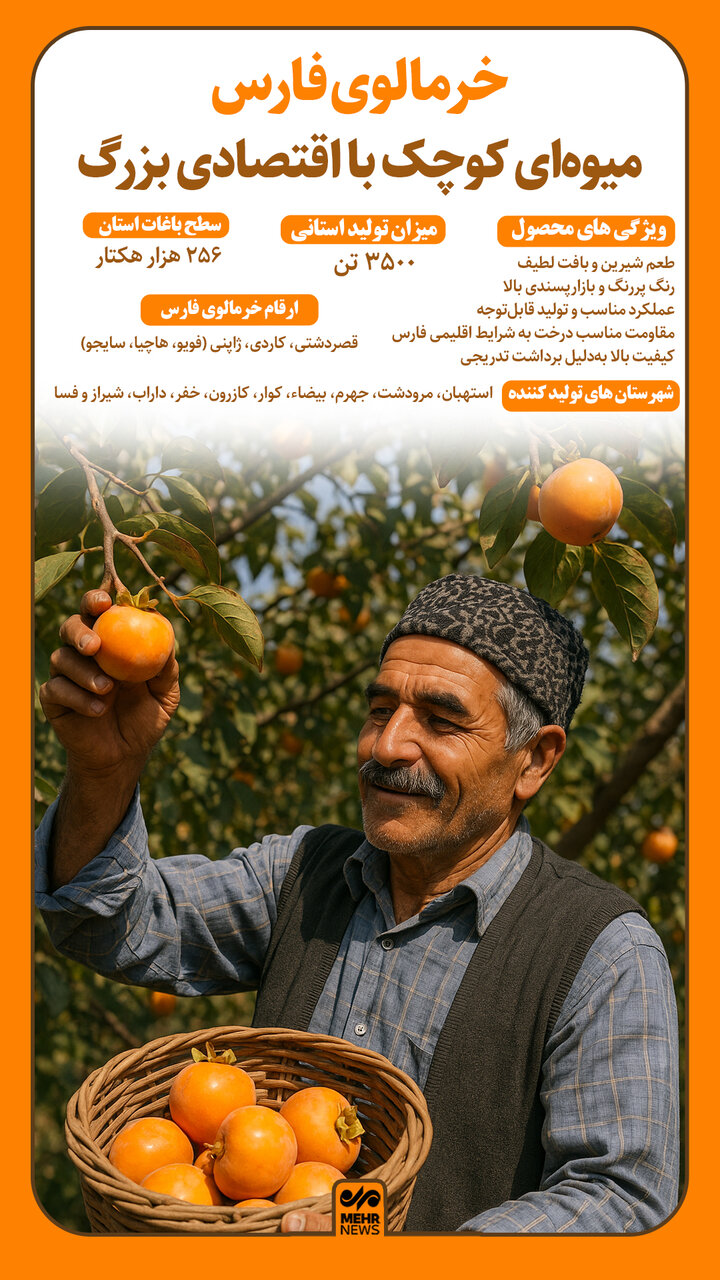 اینفوگرافیک؛ خرمالوی فارس میوهای کوچک با اقتصادی بزرگ