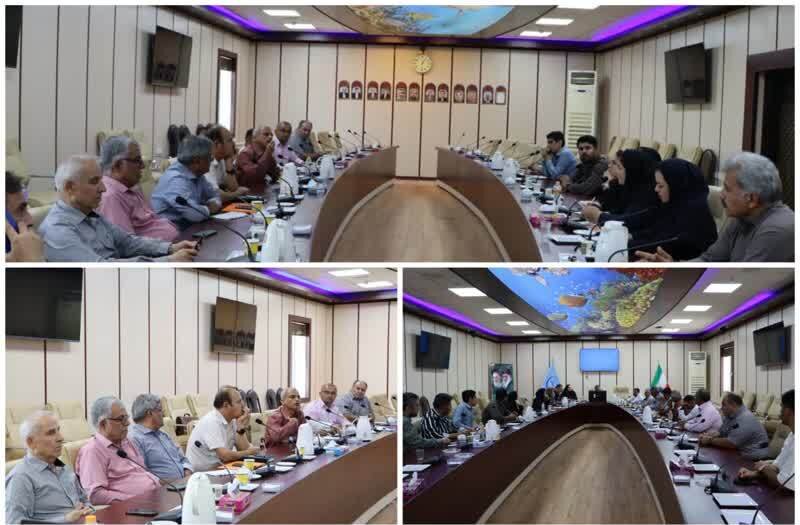 مدیرکل شیلات بوشهر: فرآیند برداشت میگو تسریع شود