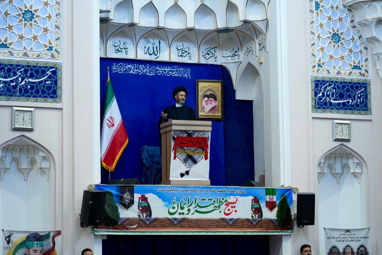 آیت الله عاملی:سازمان‌های بین‌المللی ابزار فشار علیه دولت ‌ها هستند