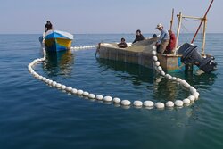 مسیر هوشمندسازی آبزی‌پروری در مازندران شتاب می‌گیرد
