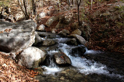 پاییز سراب صحنه؛ نمایشی باشکوه از هزار رنگ طبیعت