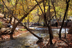 رخت پاییزی بر تن سراب صحنه