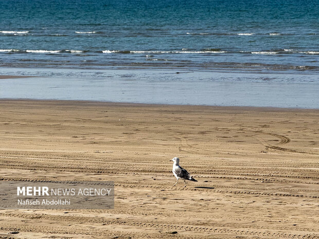 رژه دریایی عمان
