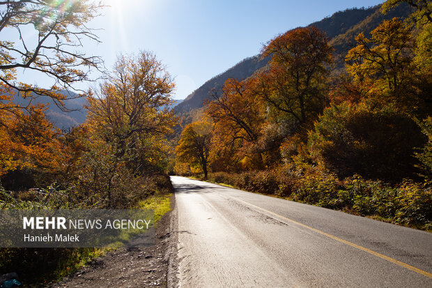 جنگل پاییزی توسکستان گرگان