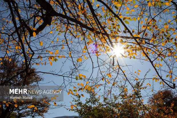 جنگل پاییزی توسکستان گرگان