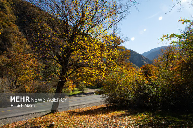 جنگل پاییزی توسکستان گرگان