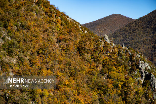 جنگل پاییزی توسکستان گرگان