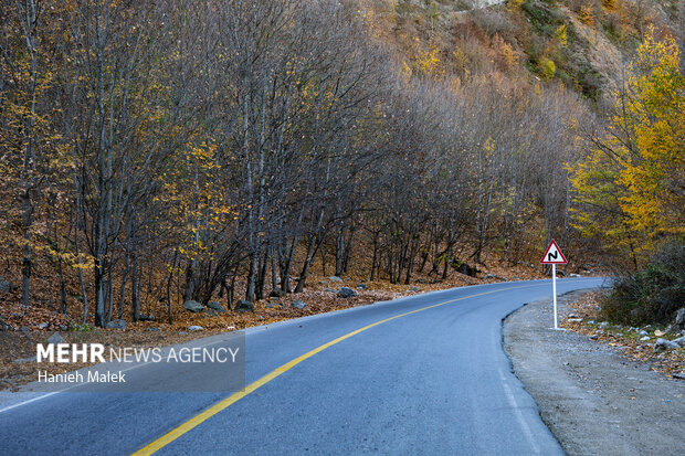 جنگل پاییزی توسکستان گرگان