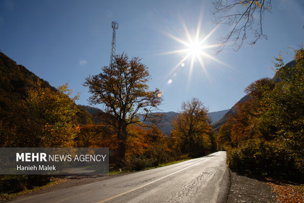 جنگل پاییزی توسکستان گرگان