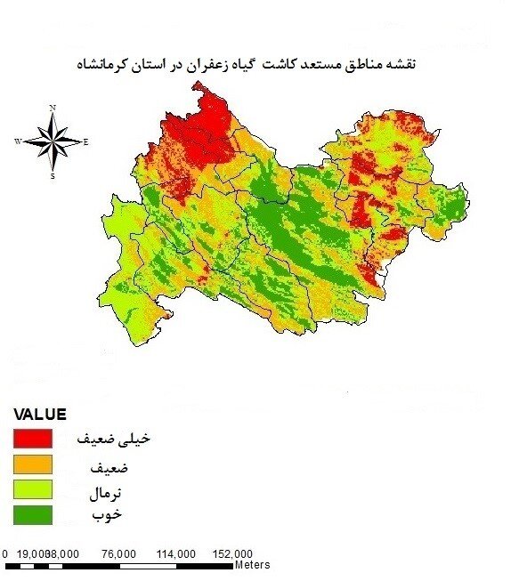 کرمانشاه در آستانه تبدیل‌ به قطب زعفران؛خام‌فروشی بزرگ‌ترین مانع توسعه