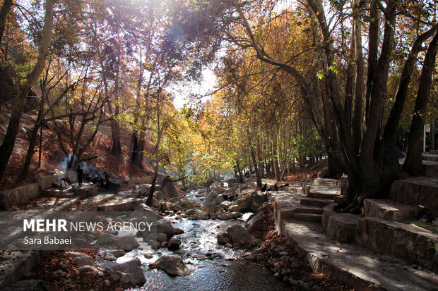 پاییز سراب صحنه؛ نمایشی باشکوه از هزار رنگ طبیعت