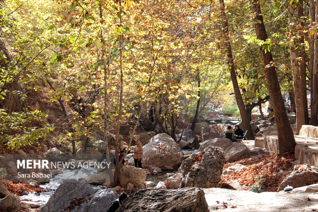 پاییز سراب صحنه؛ نمایشی باشکوه از هزار رنگ طبیعت