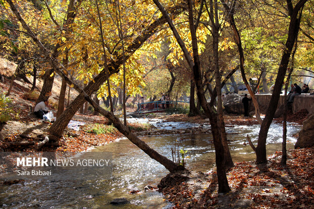 پاییز سراب صحنه؛ نمایشی باشکوه از هزار رنگ طبیعت
