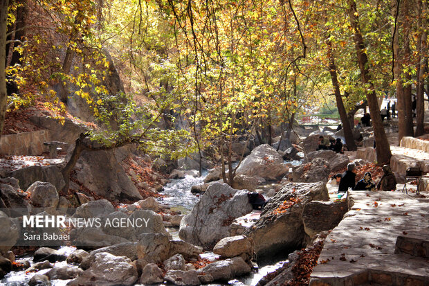 پاییز سراب صحنه؛ نمایشی باشکوه از هزار رنگ طبیعت