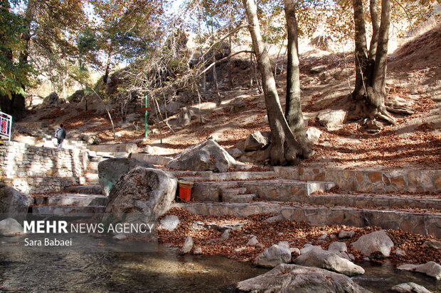 پاییز سراب صحنه؛ نمایشی باشکوه از هزار رنگ طبیعت