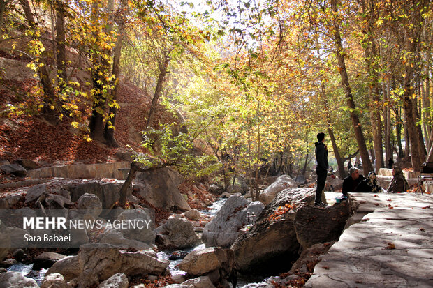 پاییز سراب صحنه؛ نمایشی باشکوه از هزار رنگ طبیعت