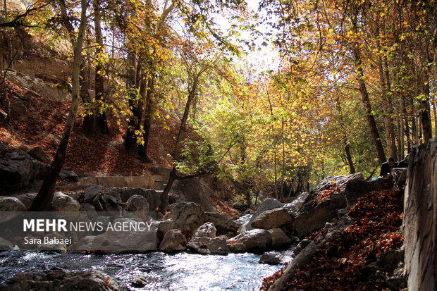 پاییز سراب صحنه؛ نمایشی باشکوه از هزار رنگ طبیعت