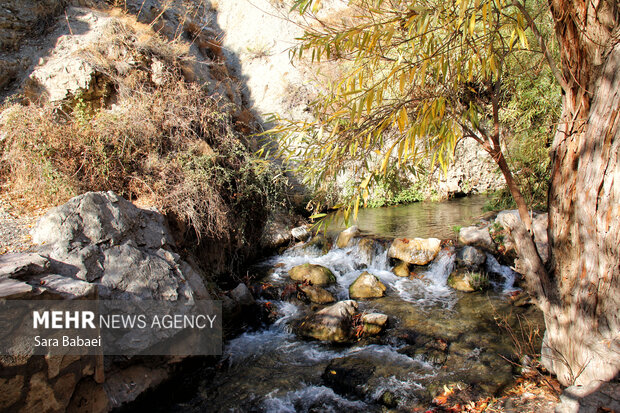 پاییز سراب صحنه؛ نمایشی باشکوه از هزار رنگ طبیعت